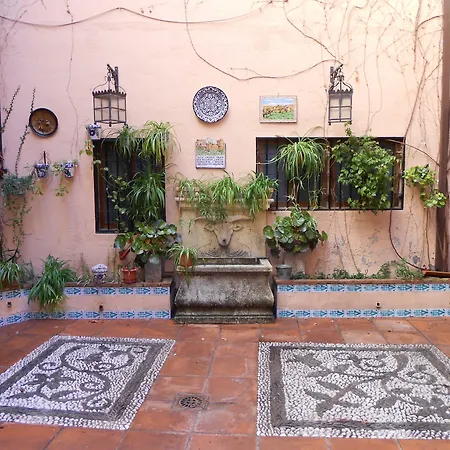 Del Toro Hotel 3*